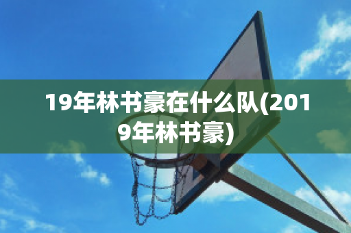 19年林书豪在什么队(2019年林书豪)