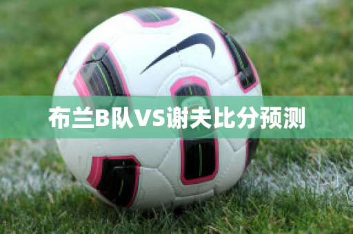 布兰B队VS谢夫比分预测