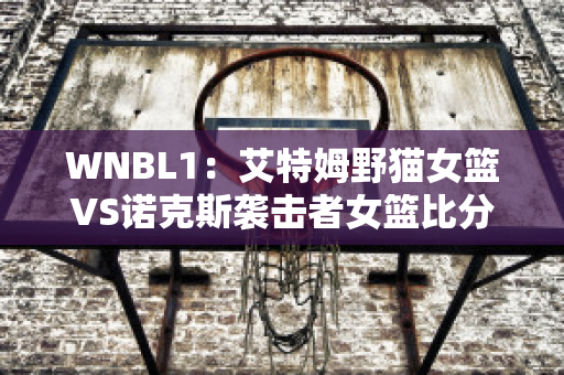 WNBL1：艾特姆野猫女篮VS诺克斯袭击者女篮比分参考