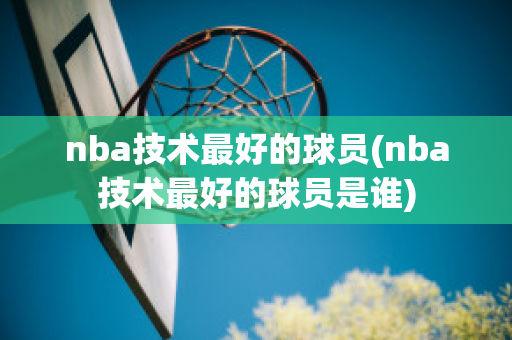 nba技术最好的球员(nba技术最好的球员是谁)