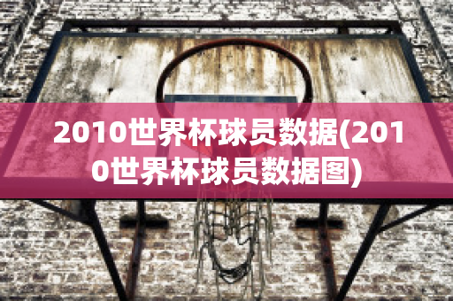 2010世界杯球员数据(2010世界杯球员数据图)