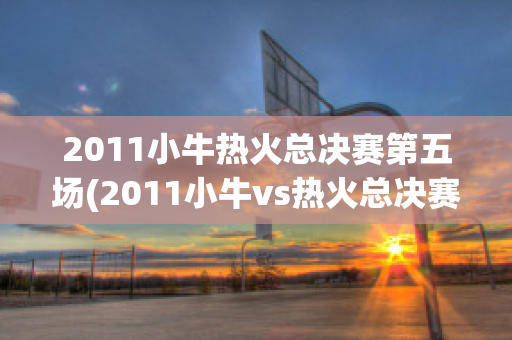 2011小牛热火总决赛第五场(2011小牛vs热火总决赛g1)