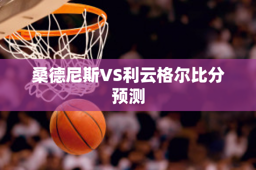 桑德尼斯VS利云格尔比分预测