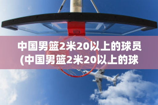 中国男篮2米20以上的球员(中国男篮2米20以上的球员王哲林)