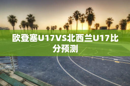 欧登塞U17VS北西兰U17比分预测