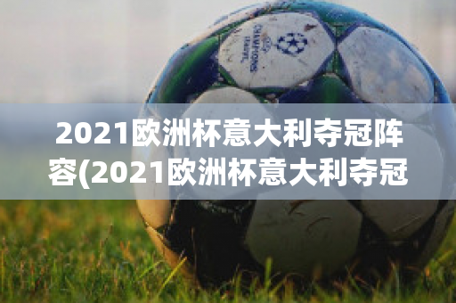 2021欧洲杯意大利夺冠阵容(2021欧洲杯意大利夺冠阵容)