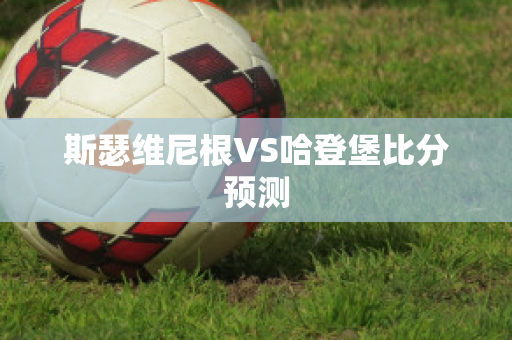 斯瑟维尼根VS哈登堡比分预测