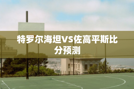 特罗尔海坦VS佐高平斯比分预测