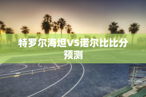 特罗尔海坦VS诺尔比比分预测