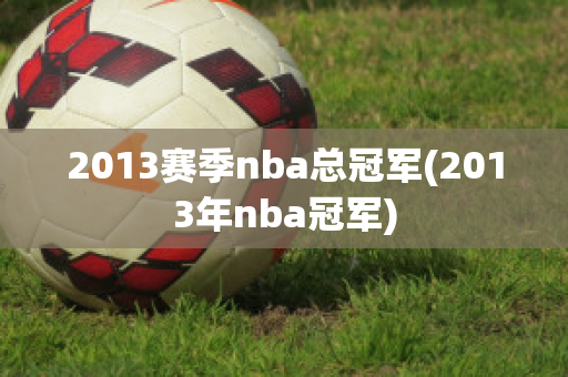 2013赛季nba总冠军(2013年nba冠军)