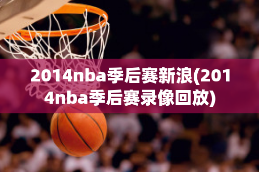 2014nba季后赛新浪(2014nba季后赛录像回放)