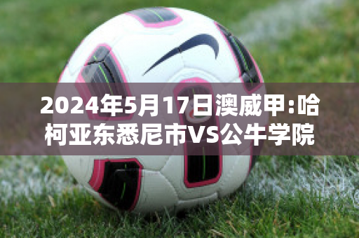 2024年5月17日澳威甲:哈柯亚东悉尼市VS公牛学院近日赛程