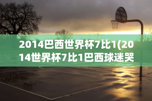 2014巴西世界杯7比1(2014世界杯7比1巴西球迷哭)