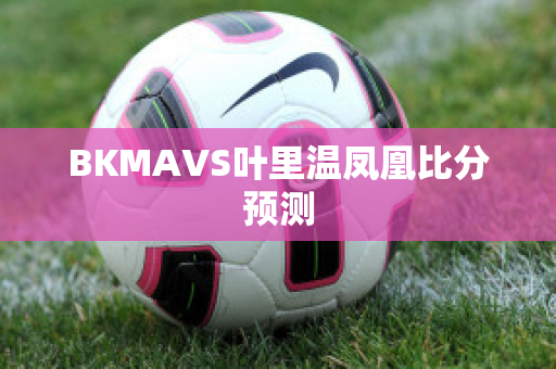 BKMAVS叶里温凤凰比分预测