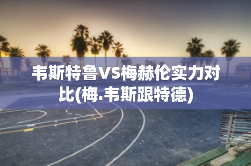 韦斯特鲁VS梅赫伦实力对比(梅.韦斯跟特德)