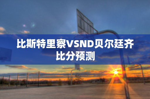 比斯特里察VSND贝尔廷齐比分预测