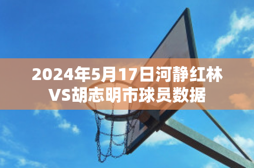 2024年5月17日河静红林VS胡志明市球员数据