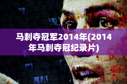 马刺夺冠军2014年(2014年马刺夺冠纪录片)