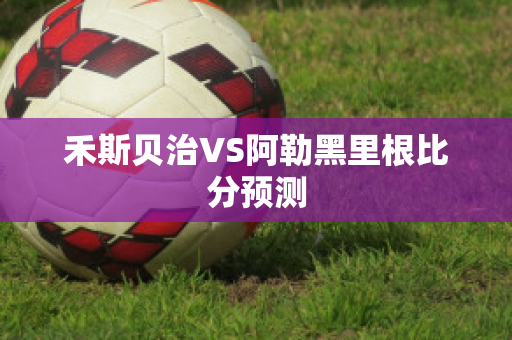 禾斯贝治VS阿勒黑里根比分预测