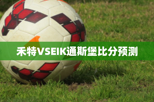 禾特VSEIK通斯堡比分预测