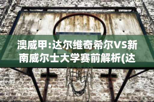 澳威甲:达尔维奇希尔VS新南威尔士大学赛前解析(达尔威尼)