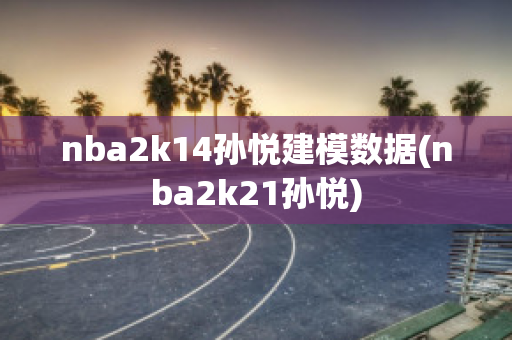 nba2k14孙悦建模数据(nba2k21孙悦)