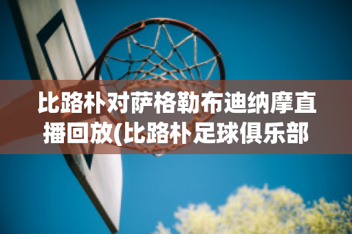 比路朴对萨格勒布迪纳摩直播回放(比路朴足球俱乐部)