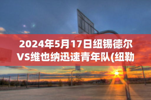 2024年5月17日纽锡德尔VS维也纳迅速青年队(纽勒维尔篮球馆)