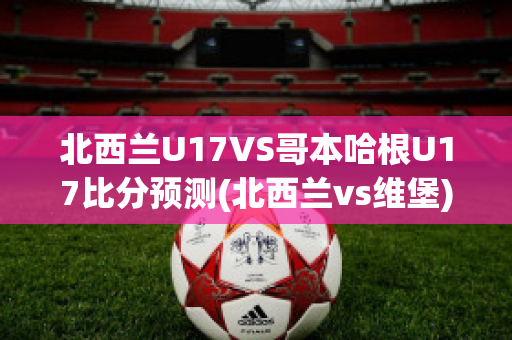 北西兰U17VS哥本哈根U17比分预测(北西兰vs维堡)