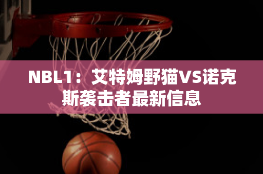 NBL1：艾特姆野猫VS诺克斯袭击者最新信息