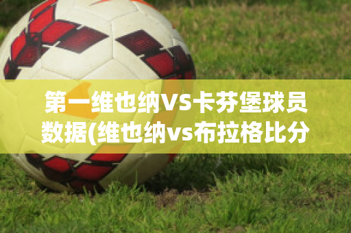 第一维也纳VS卡芬堡球员数据(维也纳vs布拉格比分预测)