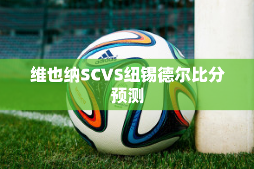 维也纳SCVS纽锡德尔比分预测