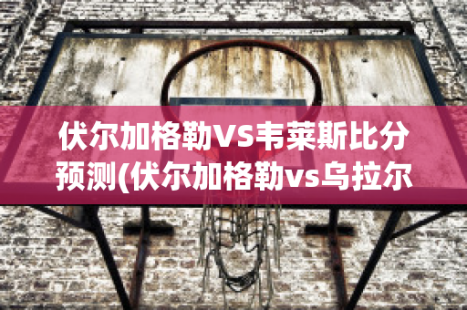 伏尔加格勒VS韦莱斯比分预测(伏尔加格勒vs乌拉尔)