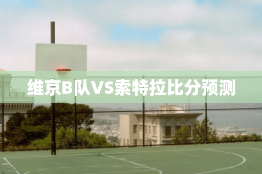 维京B队VS索特拉比分预测