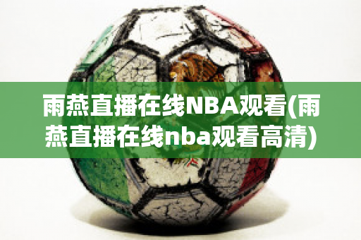 雨燕直播在线NBA观看(雨燕直播在线nba观看高清)