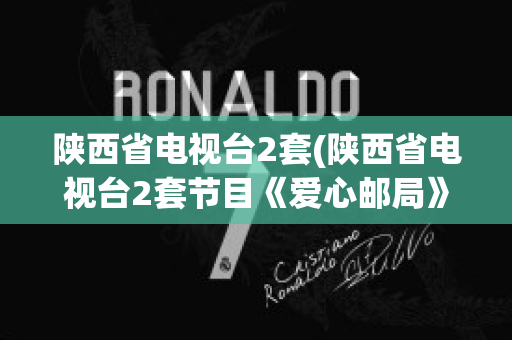 陕西省电视台2套(陕西省电视台2套节目《爱心邮局》)