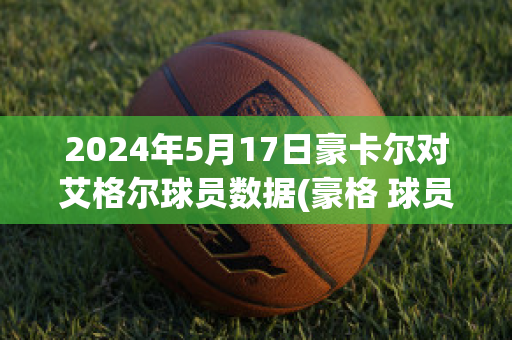 2024年5月17日豪卡尔对艾格尔球员数据(豪格 球员)