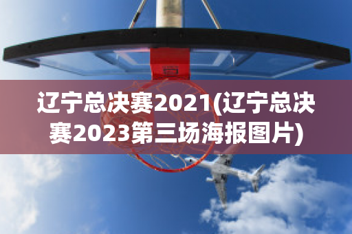 辽宁总决赛2021(辽宁总决赛2023第三场海报图片)