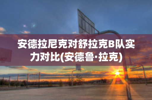 安德拉尼克对舒拉克B队实力对比(安德鲁·拉克)