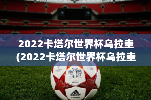 2022卡塔尔世界杯乌拉圭(2022卡塔尔世界杯乌拉圭阵容)