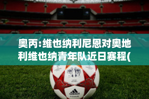 奥丙:维也纳利尼恩对奥地利维也纳青年队近日赛程(atp维也纳奥地利公开赛)