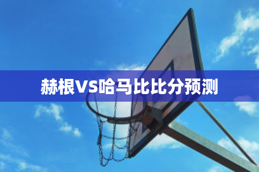 赫根VS哈马比比分预测