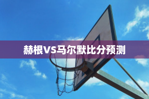 赫根VS马尔默比分预测