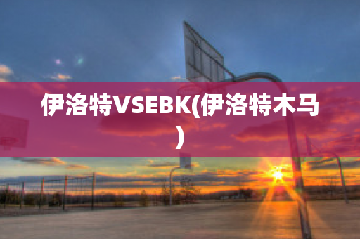 伊洛特VSEBK(伊洛特木马)