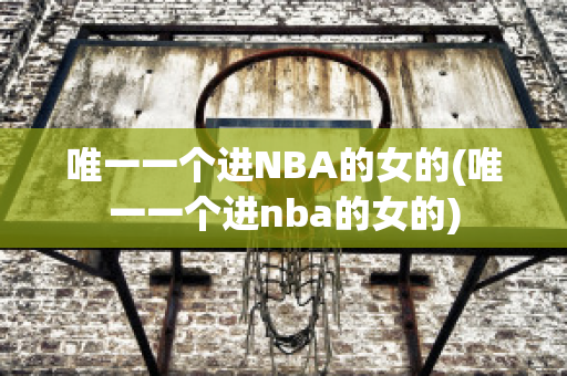 唯一一个进NBA的女的(唯一一个进nba的女的)