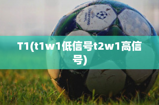 T1(t1w1低信号t2w1高信号)