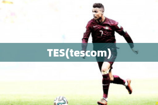 TES(tescom)