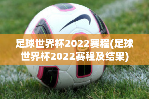 足球世界杯2022赛程(足球世界杯2022赛程及结果)