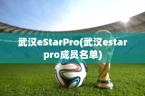 武汉eStarPro(武汉estarpro成员名单)