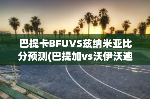 巴提卡BFUVS兹纳米亚比分预测(巴提加vs沃伊沃迪纳)